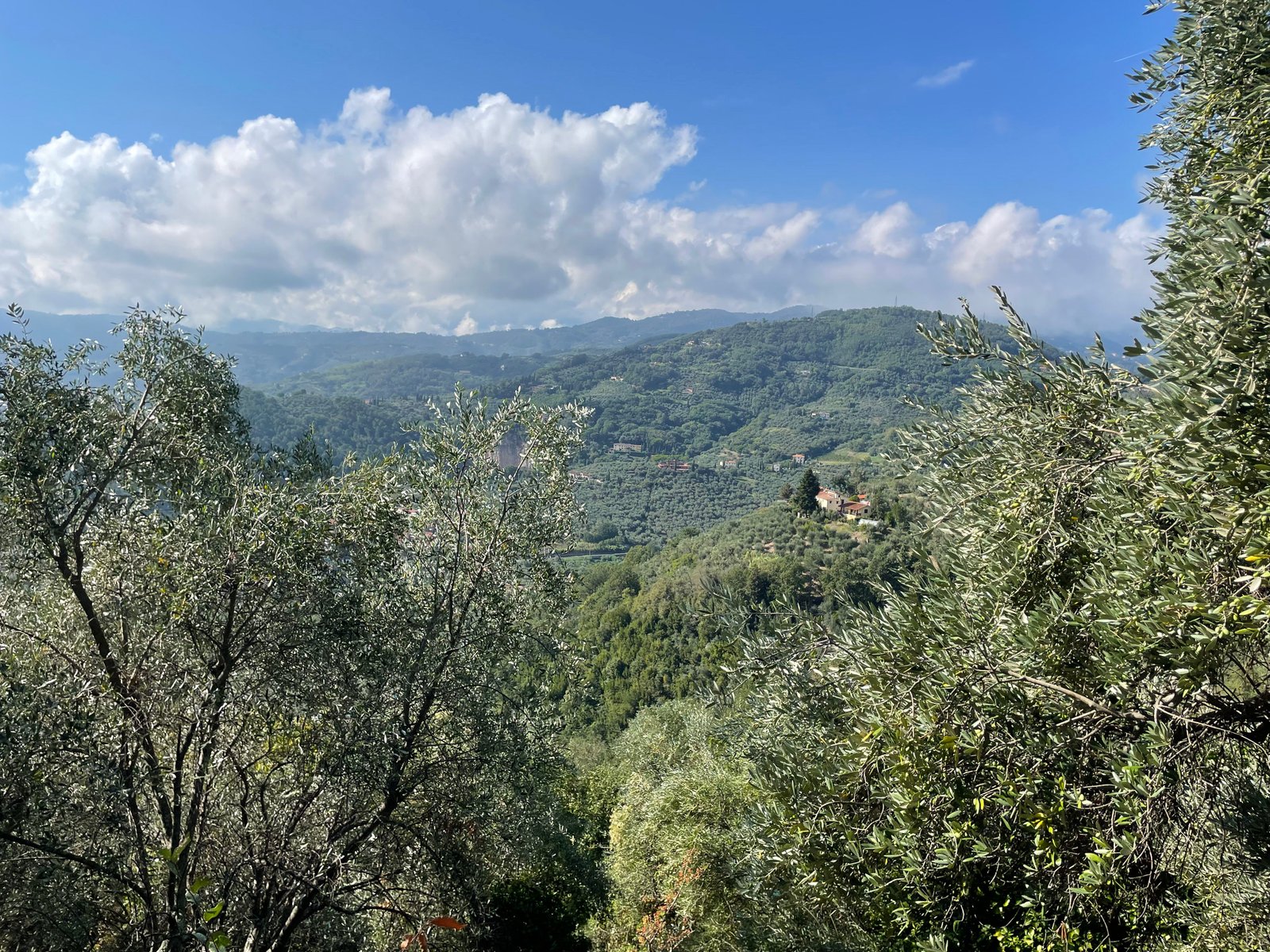 Montecatini-Alto